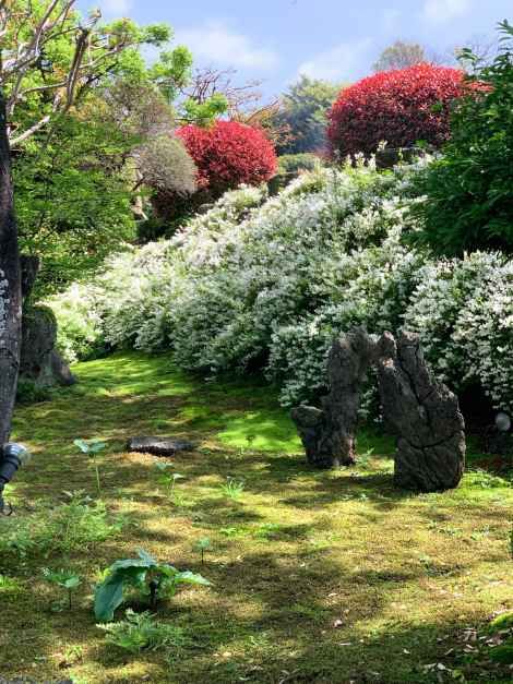 제주_숨도 (6).JPG