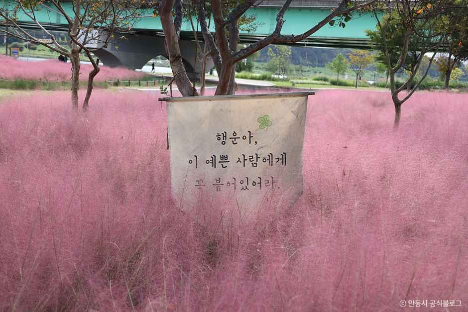 안동_그라스원 (3).jpg