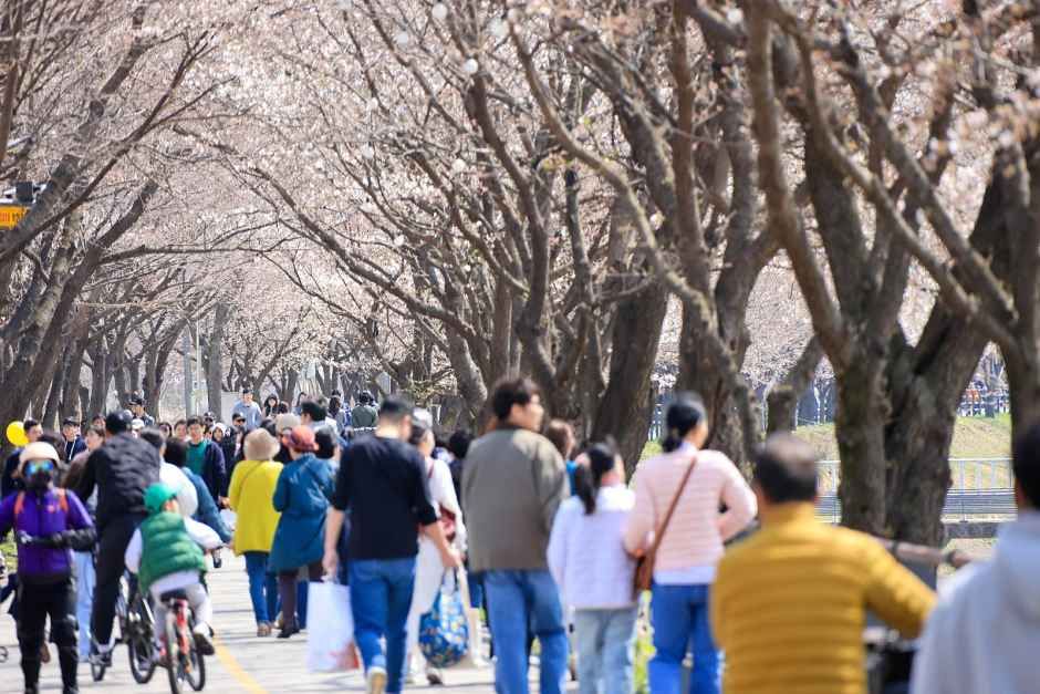 양평 갈산누리봄축제