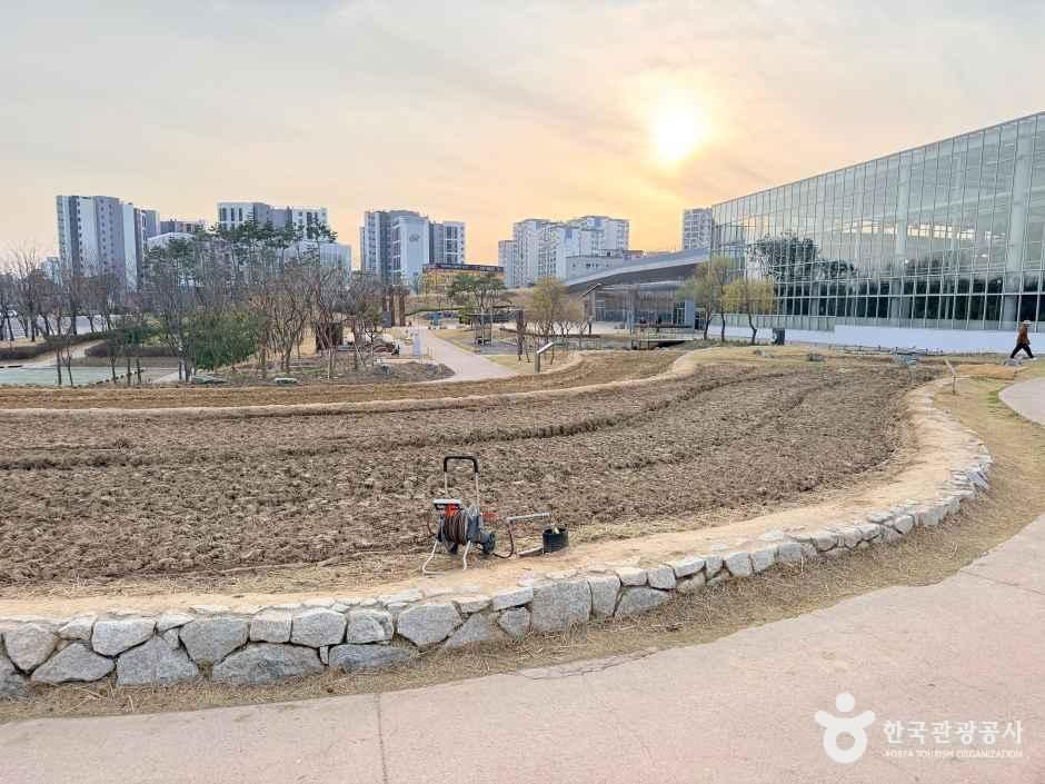 경기_수원_국립농업박물관_외부_사진 5.jpg