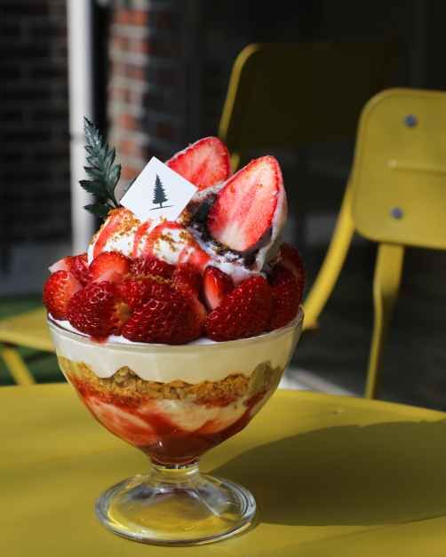 포레스트 서울숲