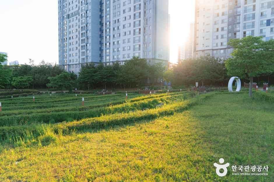 푸른뜰근린공원