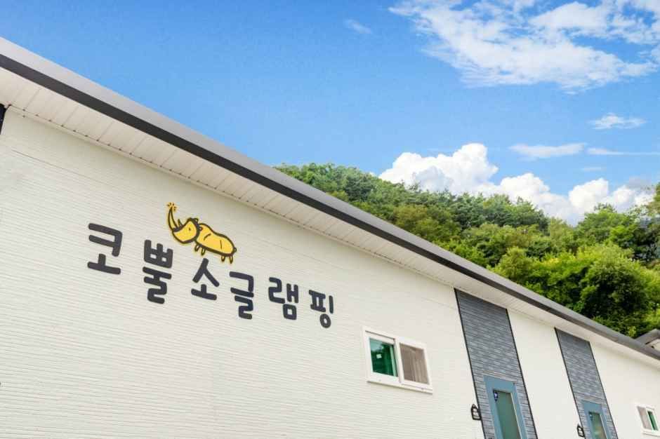 코뿔소글램핑