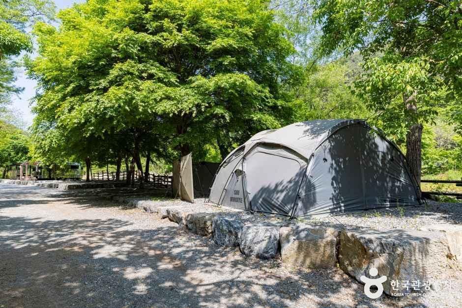 용두산오토캠핑장 - 충청북도 제천시 명암로 1040 관광 명소