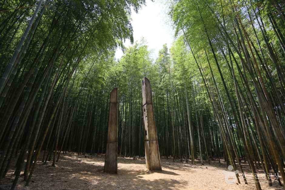 Ahopsan Forest
