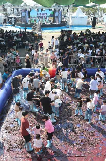 화성송산포도축제 사진 3