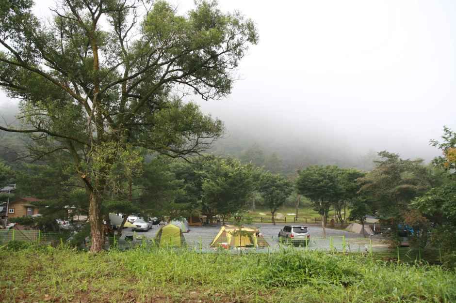 영주_주막거리캠프 (2).jpg