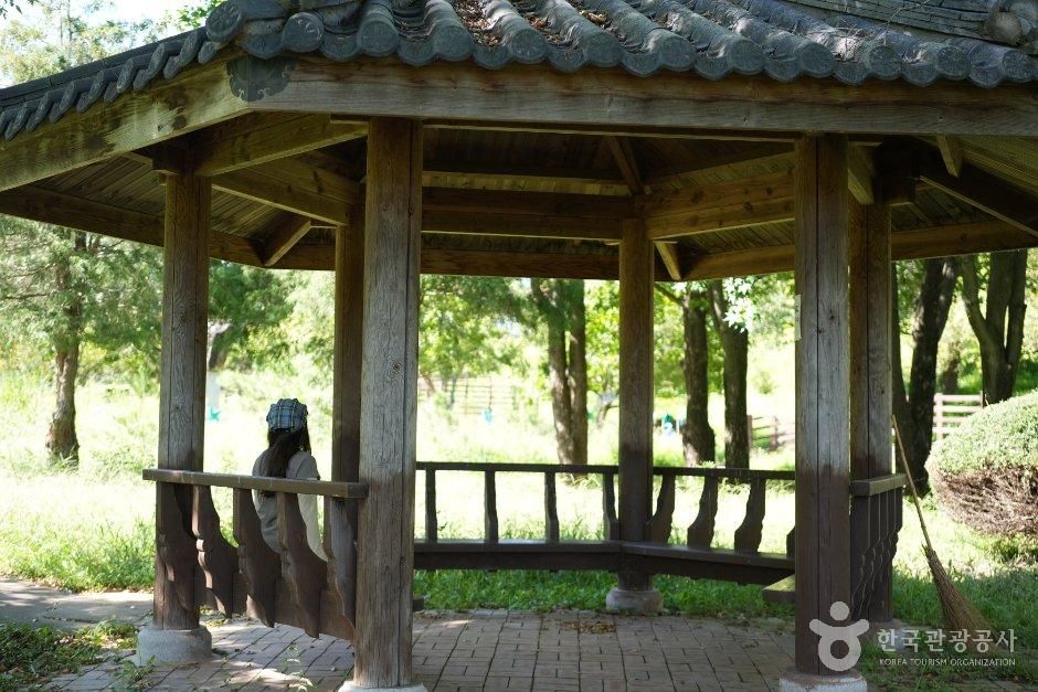 시민문화체육공원
