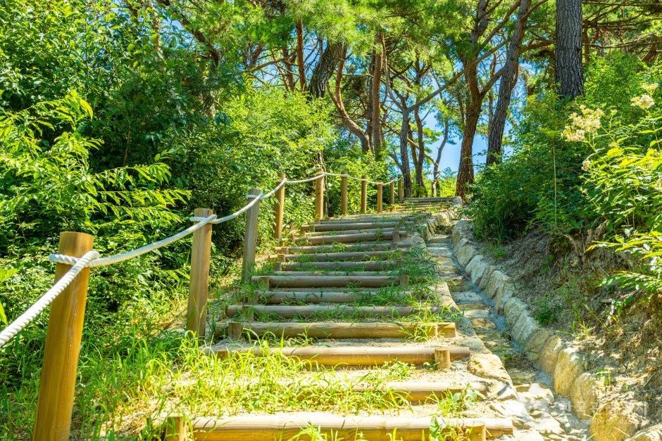 강원_원주시_원주 원충갑묘역 (4).jpg