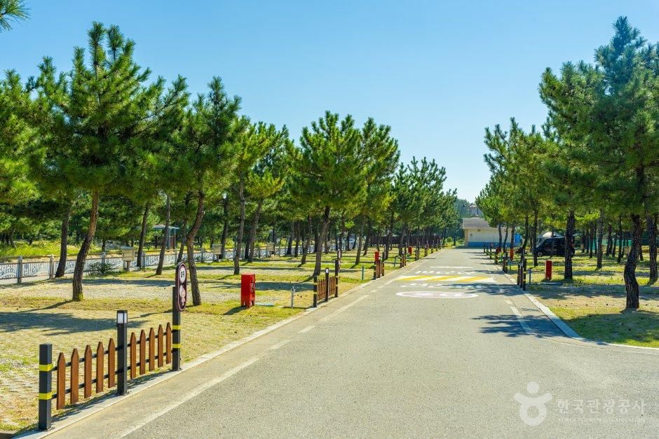 망상오토캠핑리조트제2오토캠핑장