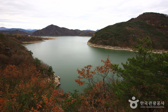 충주호 충주호