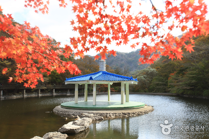 우화정 우화정