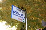 경북_안동_길안장 (천지장)04