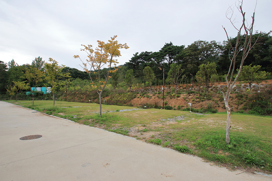 千水湾区域汽车露营地