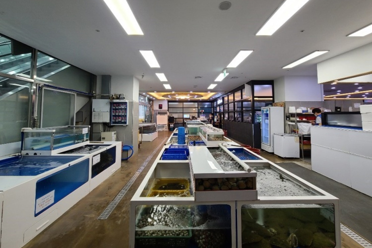 チュンブ刺身水産市場