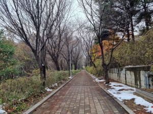 몽마르뜨공원 입구에서 공원까지 도착하는 길_5 미리보기