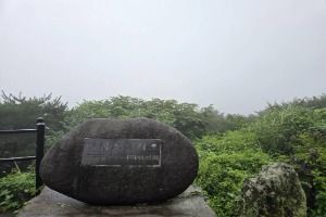 거린사슴