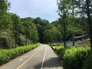 [경기옛길 평해길 제5길] 물끝길 사진 3