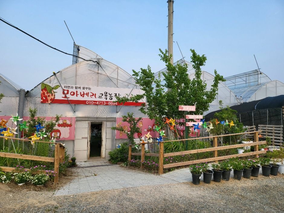 モアベリ教育農場