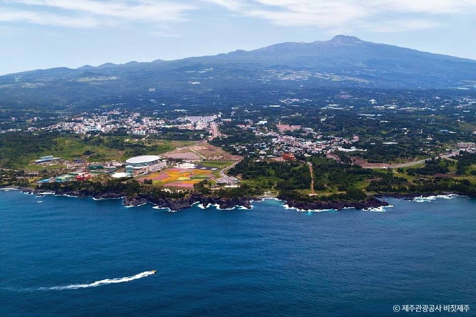 中文观光区
