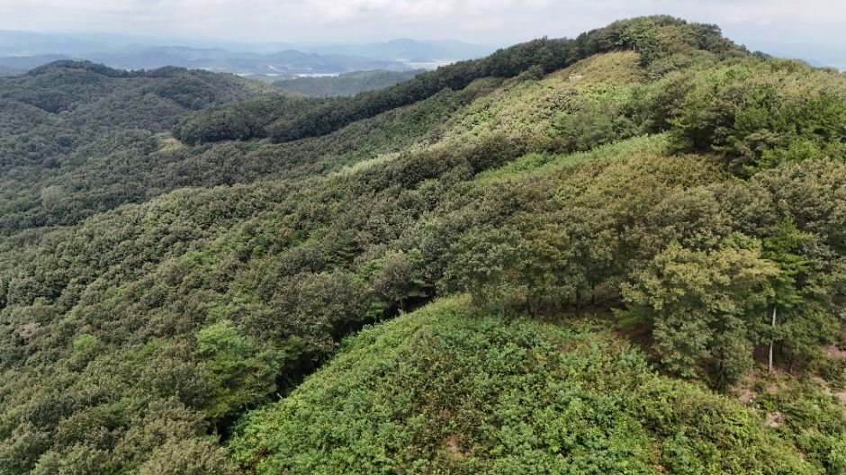 扶余青马山城