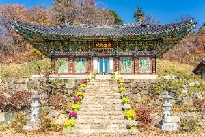 3576497 image3 1 예스키즈존 탐험대 : 실패 없는 육아여행