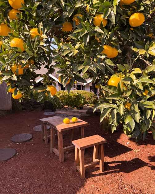 제주_숨도 (7).JPG