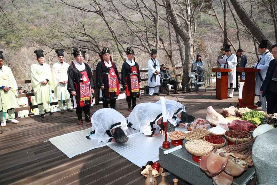 2026 여수 영취산 진달래축제 (7).JPG