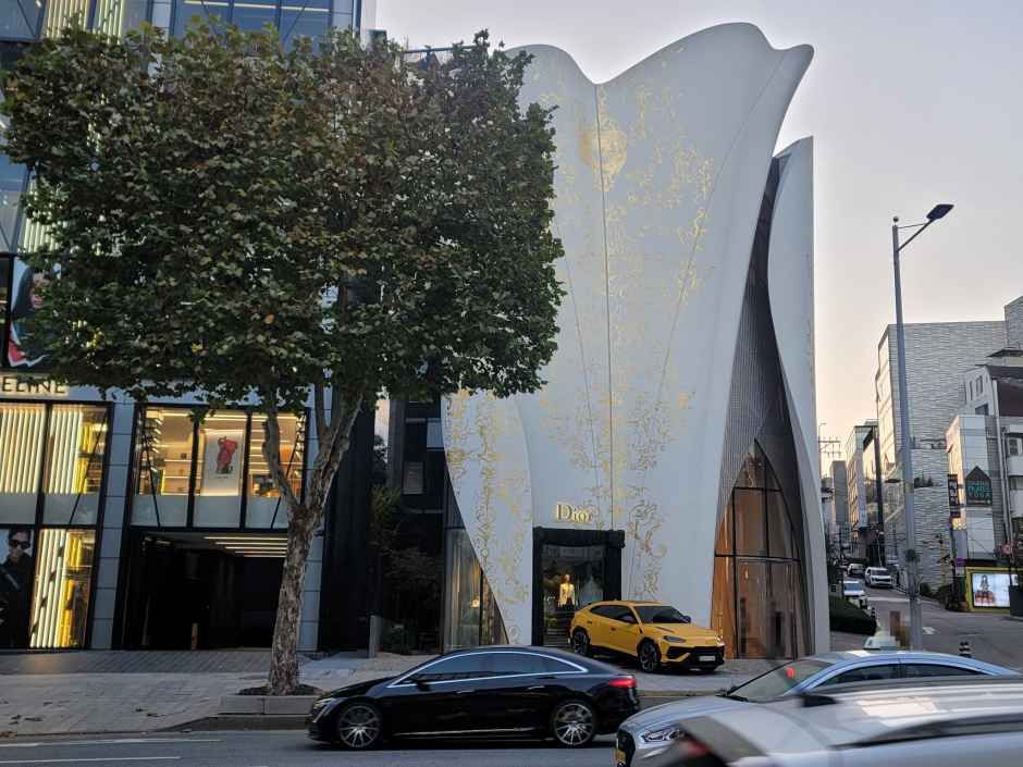 [事后免税店]House of Dior