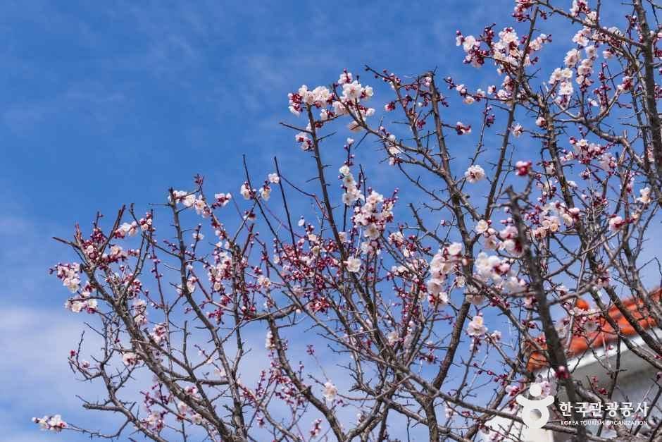 경남_창녕_부곡온천 관광특구_외부_3.jpg