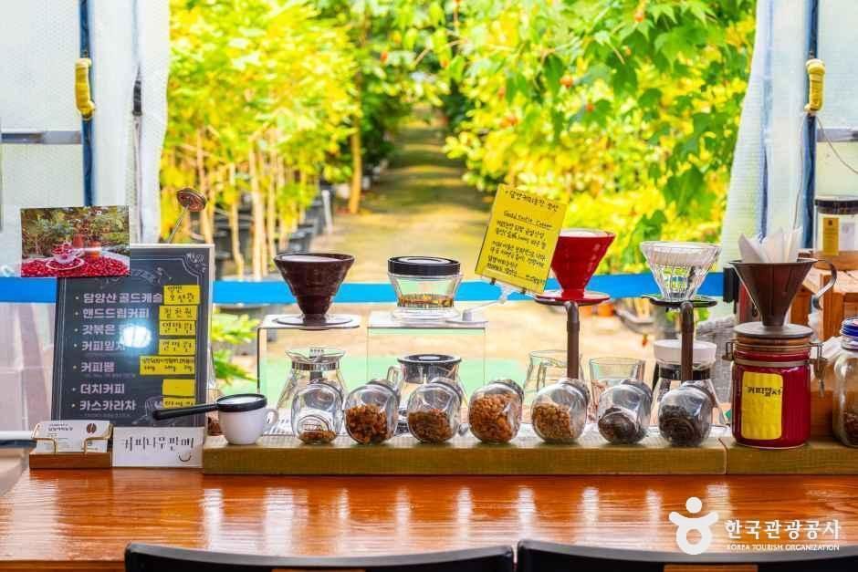 담양커피농장