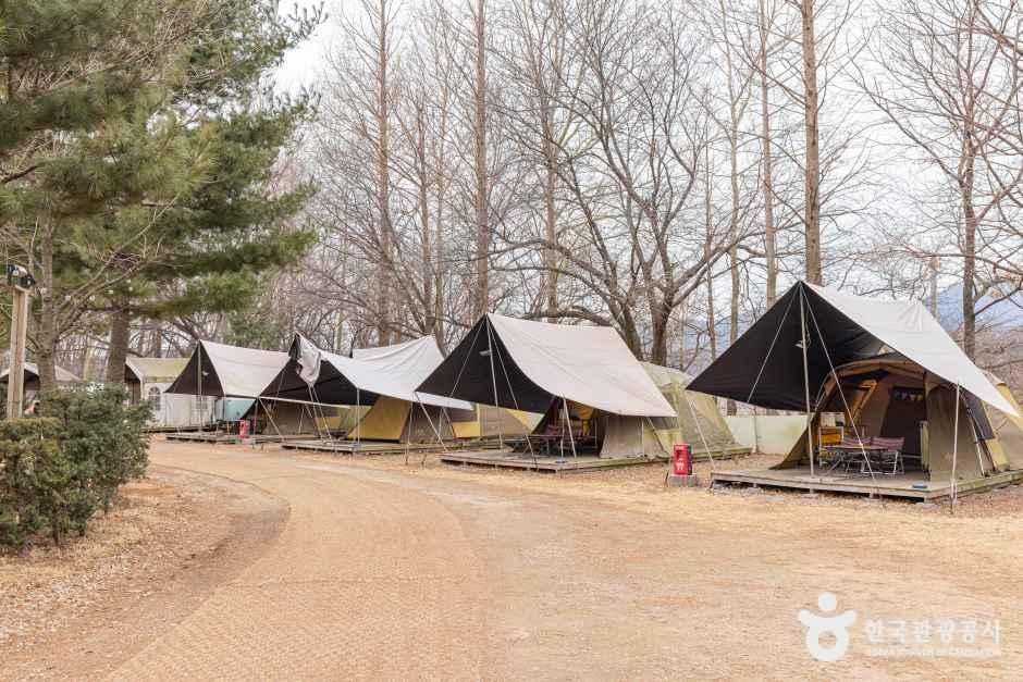 인천_강화캠핑파크 (4).jpg