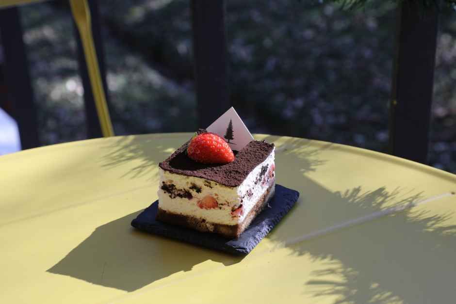 포레스트 서울숲