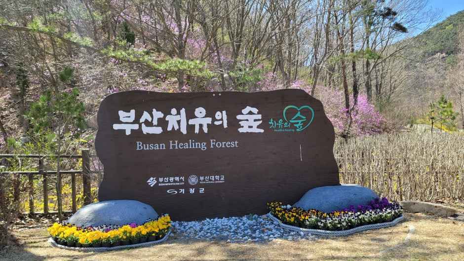 부산 치유의 숲