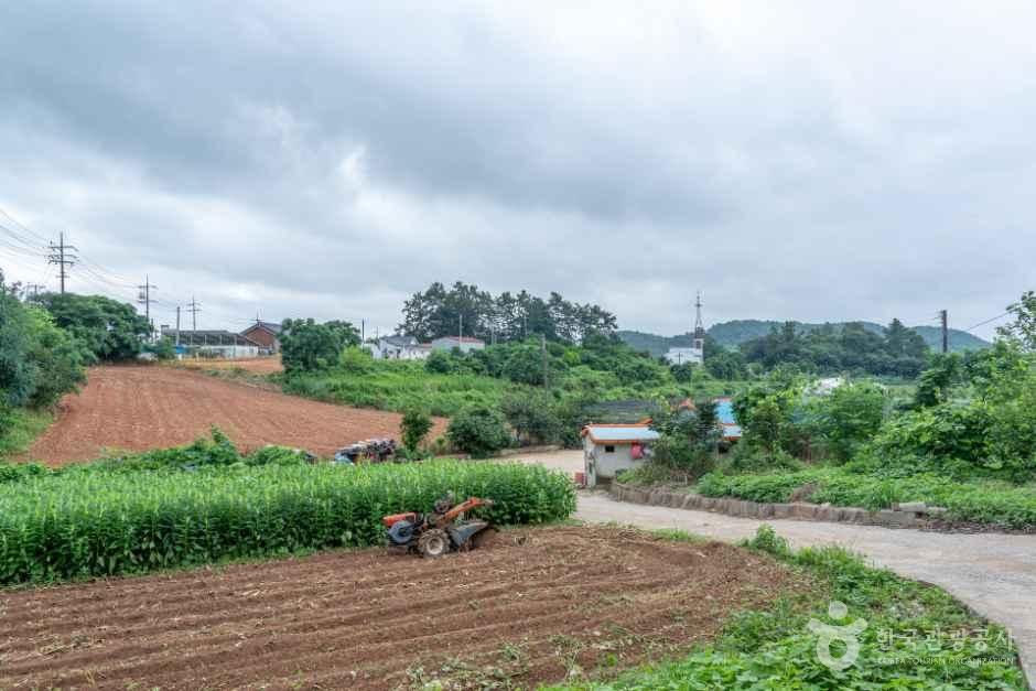 품바발상지
