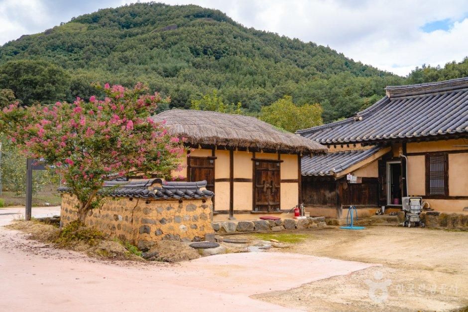 송지호둘레길