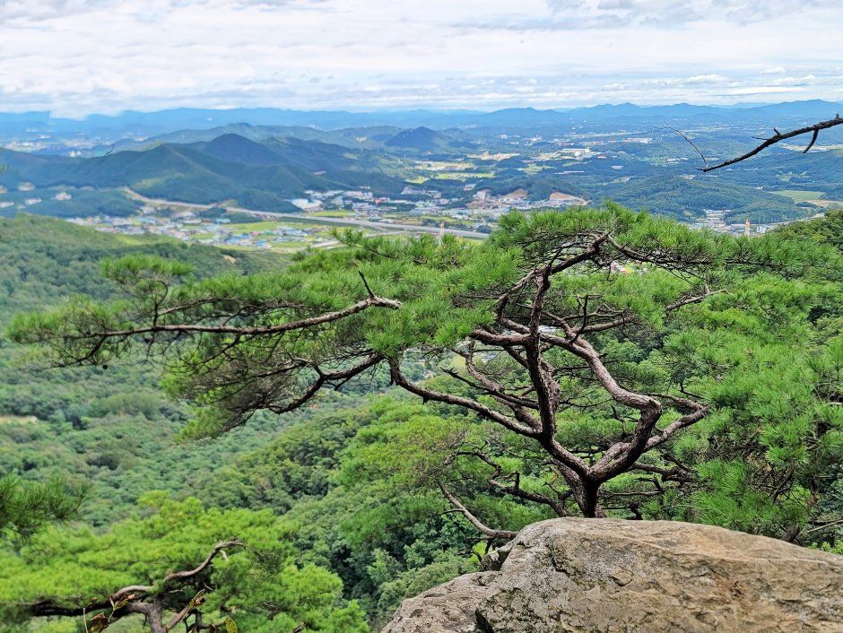 태화산(경기)