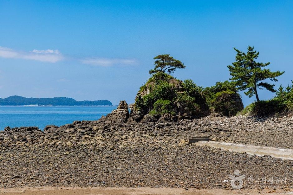 태안군_먼동해수욕장 (1).jpg