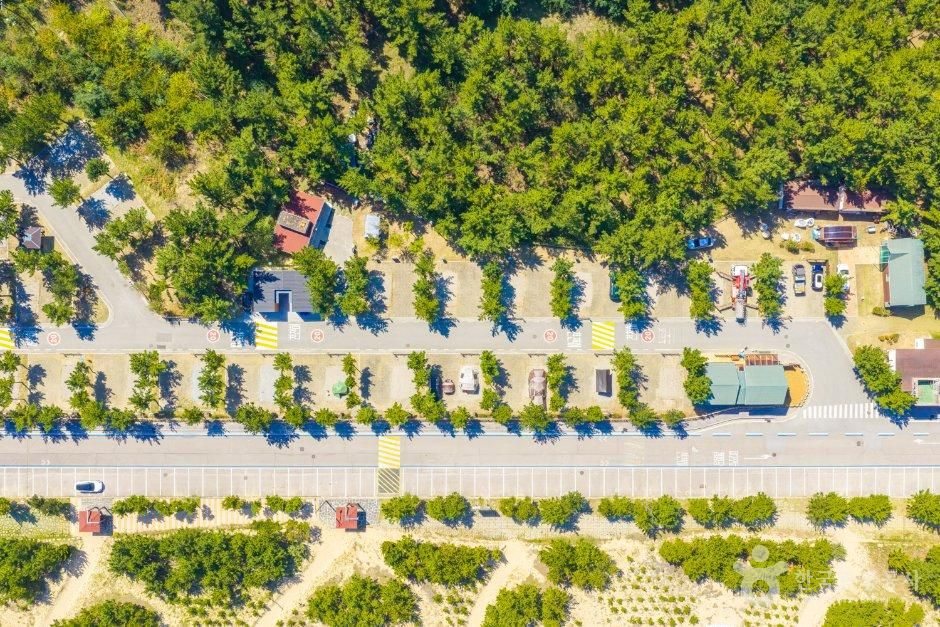 望祥オートキャンピングリゾート 第2オートキャンプ場