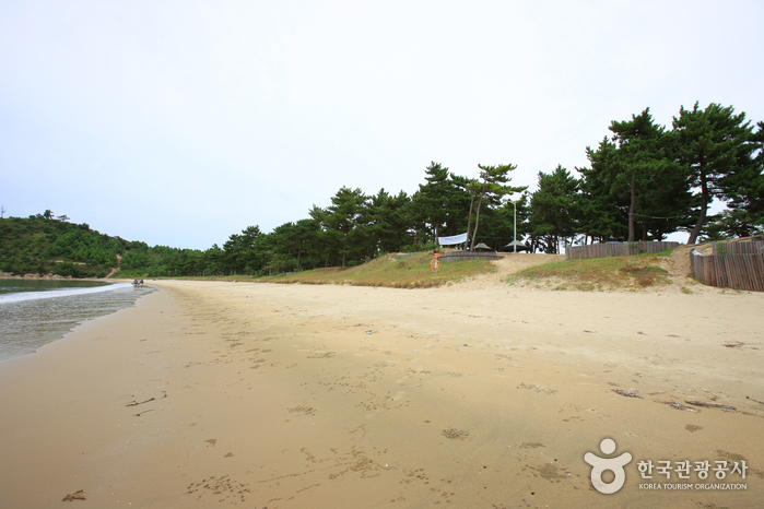 자은 백길해수욕장 자은 백길해수욕장