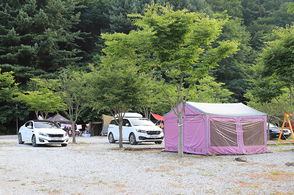 江原道ヒーリングキャンプ場