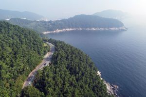 장승포 해안일주도로