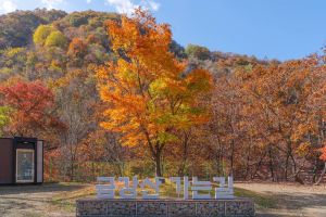 [DMZ 평화의 길] 두타연 피의능선 코스