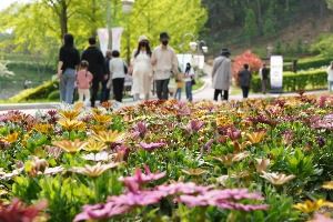청남대 봄꽃축제 영춘제