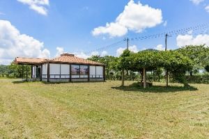 영암 장천리 선사주거지