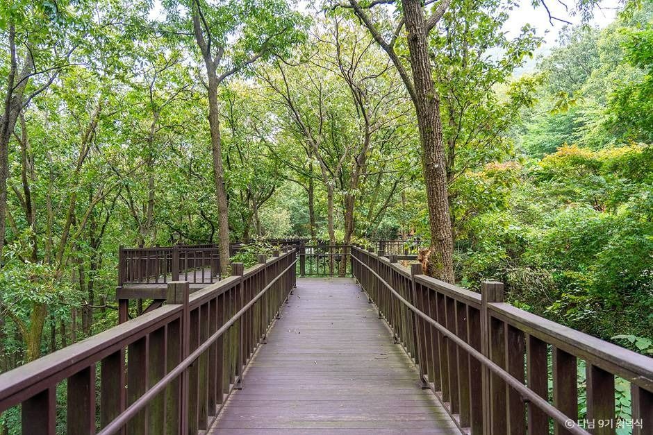 National Center for Forest Activities, Jangseong