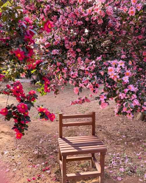 제주_숨도 (8).JPG