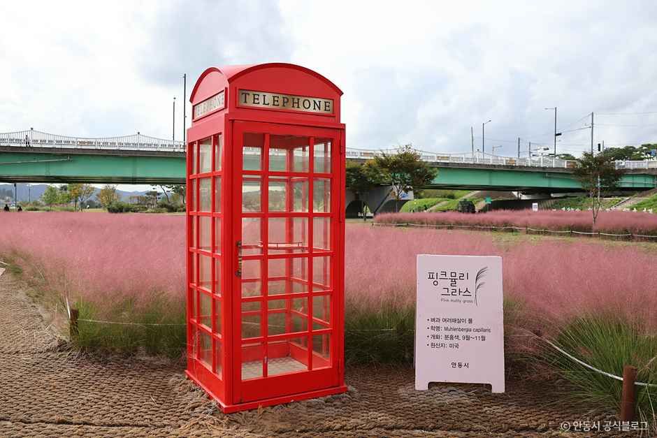 안동_그라스원 (5).jpg