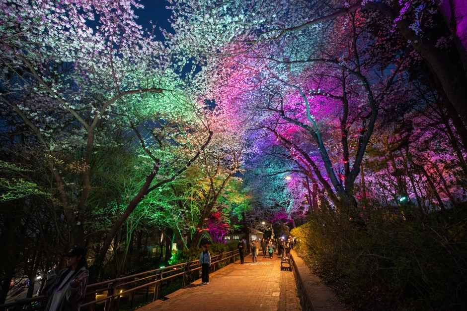 자유공원 벚꽃축제