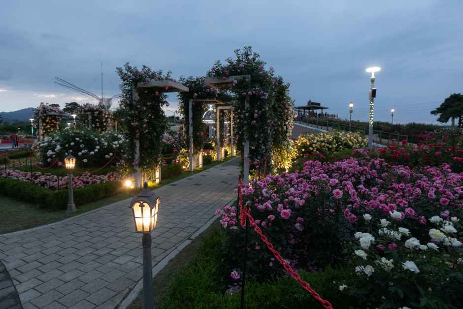 2026 곡성세계장미축제 (4).jpg